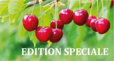 kategorie_editionspeciale